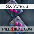 SX Устный 01